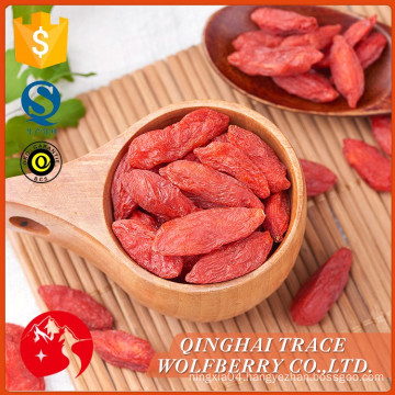 dried red organic barbary wolfberry fruit